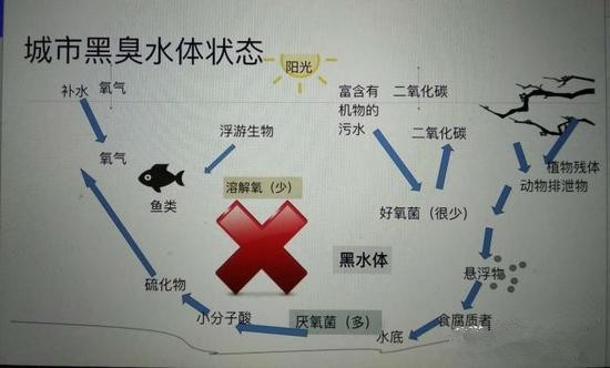 江蘇億元投資治污新技術(shù) 石墨烯能否治理黑臭水體？