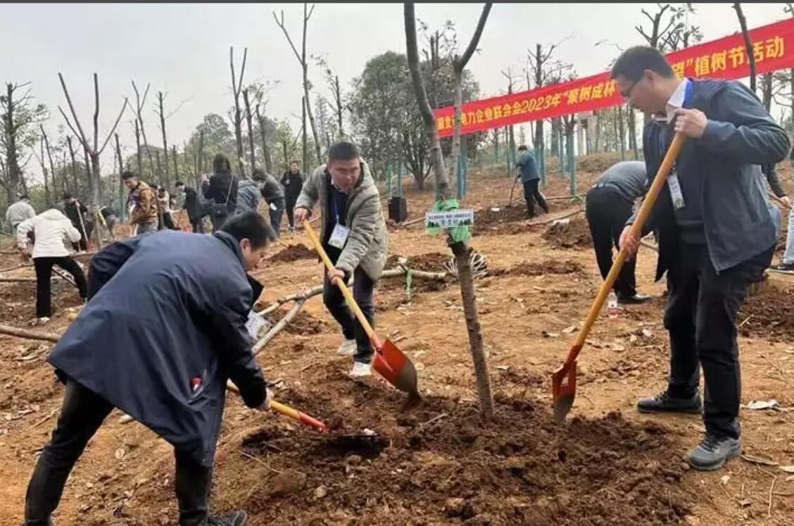 湖北省電力企業(yè)聯(lián)合會舉辦“聚樹成林·聚合希望”植樹活動