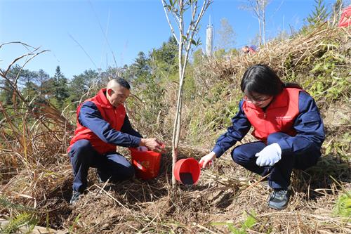 國網壽寧縣供電公司：助力低碳發(fā)展 共建綠美生態(tài)