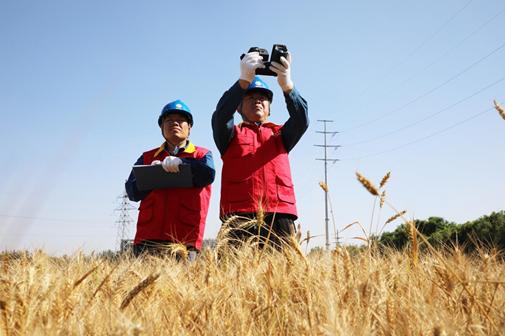 國網濟寧供電公司：“三夏”農忙 電力護航