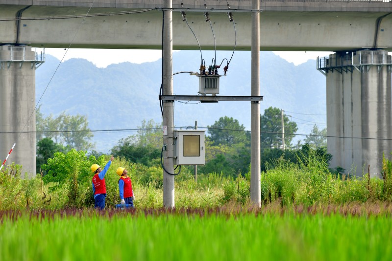 國(guó)網(wǎng)余姚市供電公司：供電有保障 鄉(xiāng)村旅游更火熱