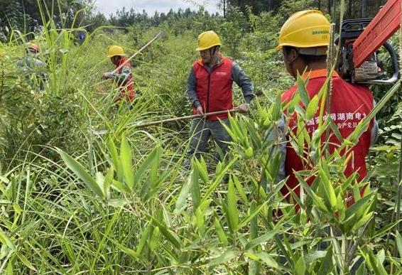 國網茶陵縣供電公司線路通道治理