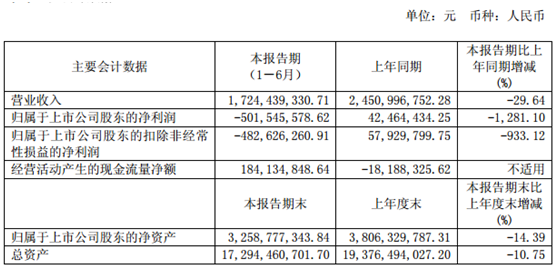 巨虧5億：*ST海潤未來路在何方？